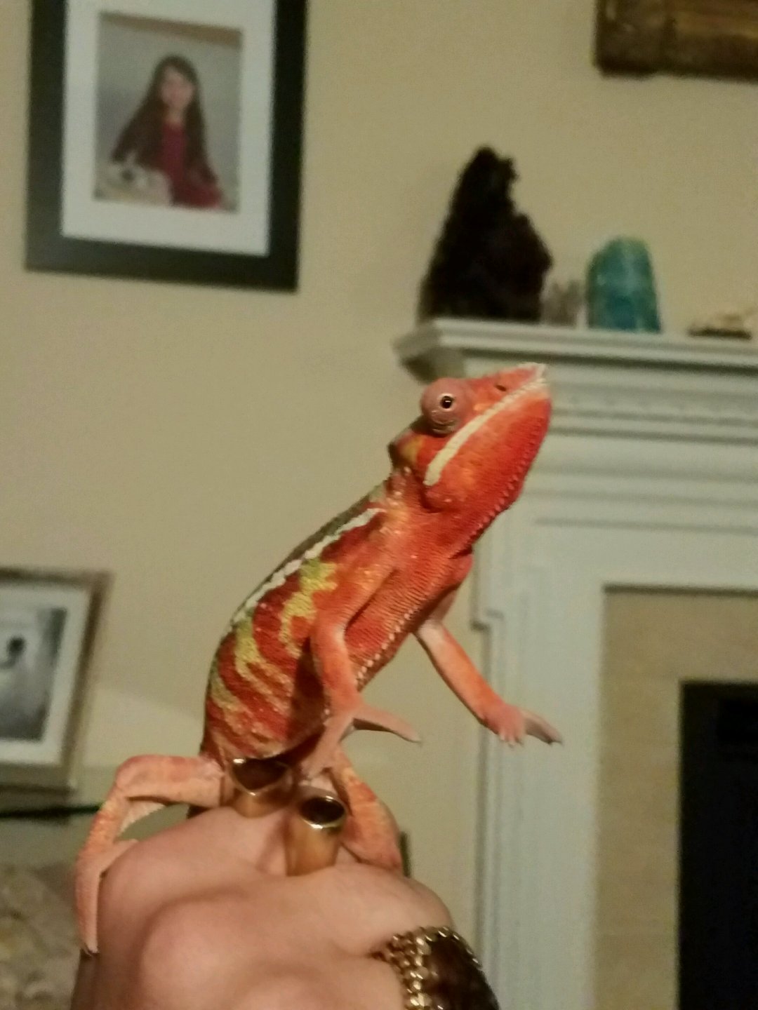 Love when he stands up like this