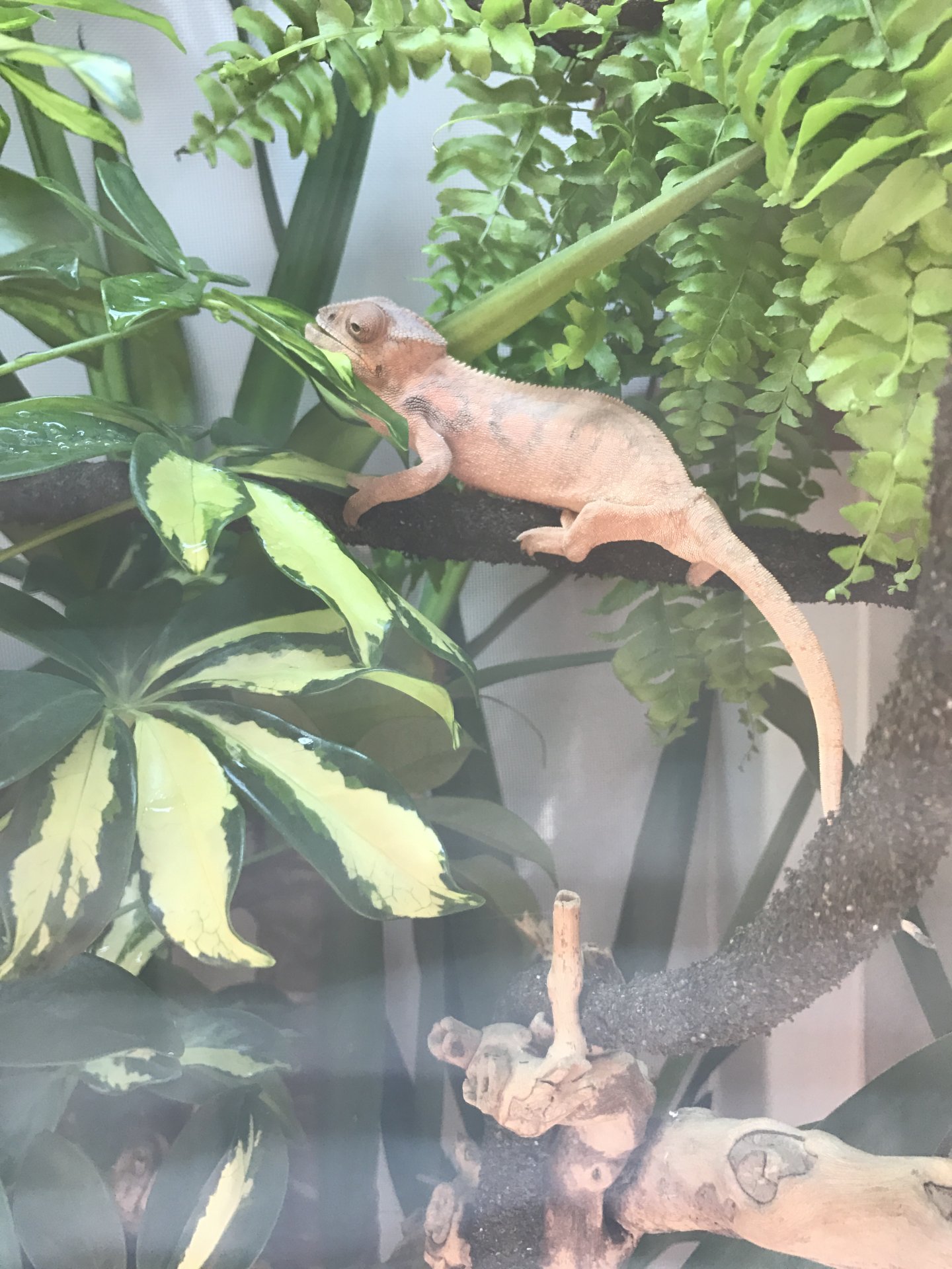 Loving the new house