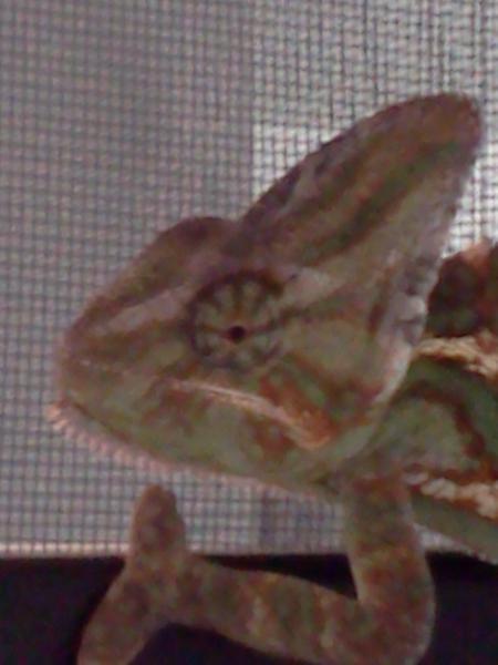 Lucky.7.3.15.I see you.