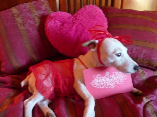 Lucky Valentine 2 14 11 016