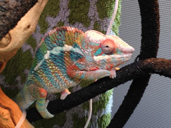 lunch time colors - just turned 6 month old