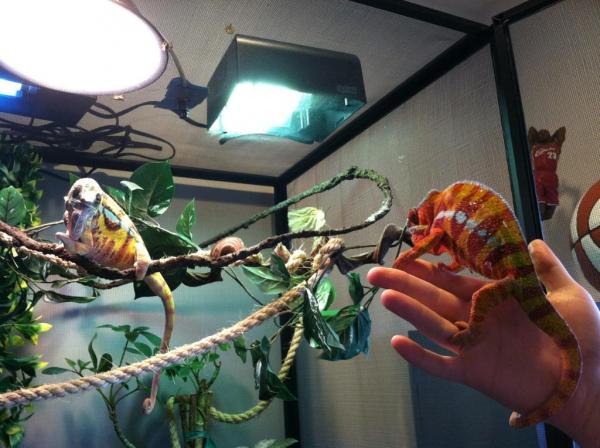 Mac and Marty checking each other out