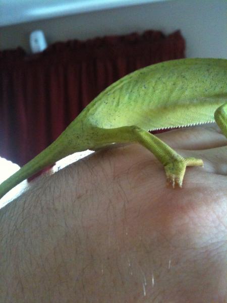 Male or female?