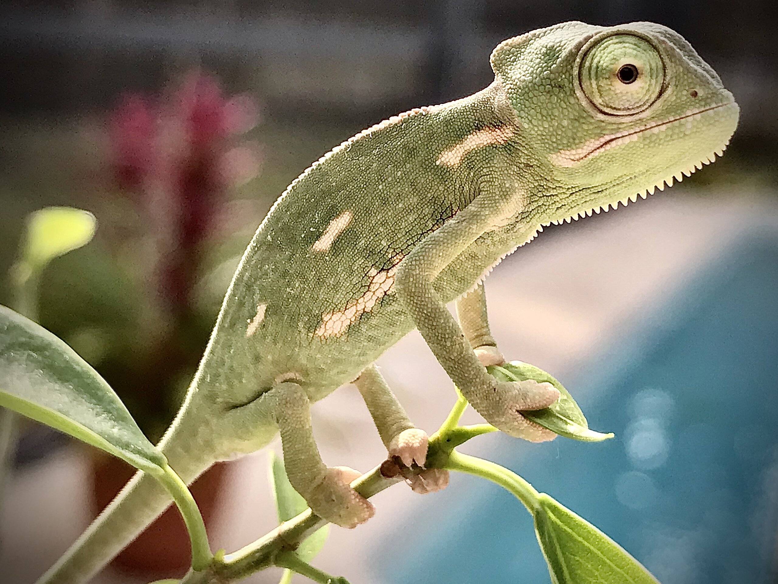 Marsh/Throw back pic