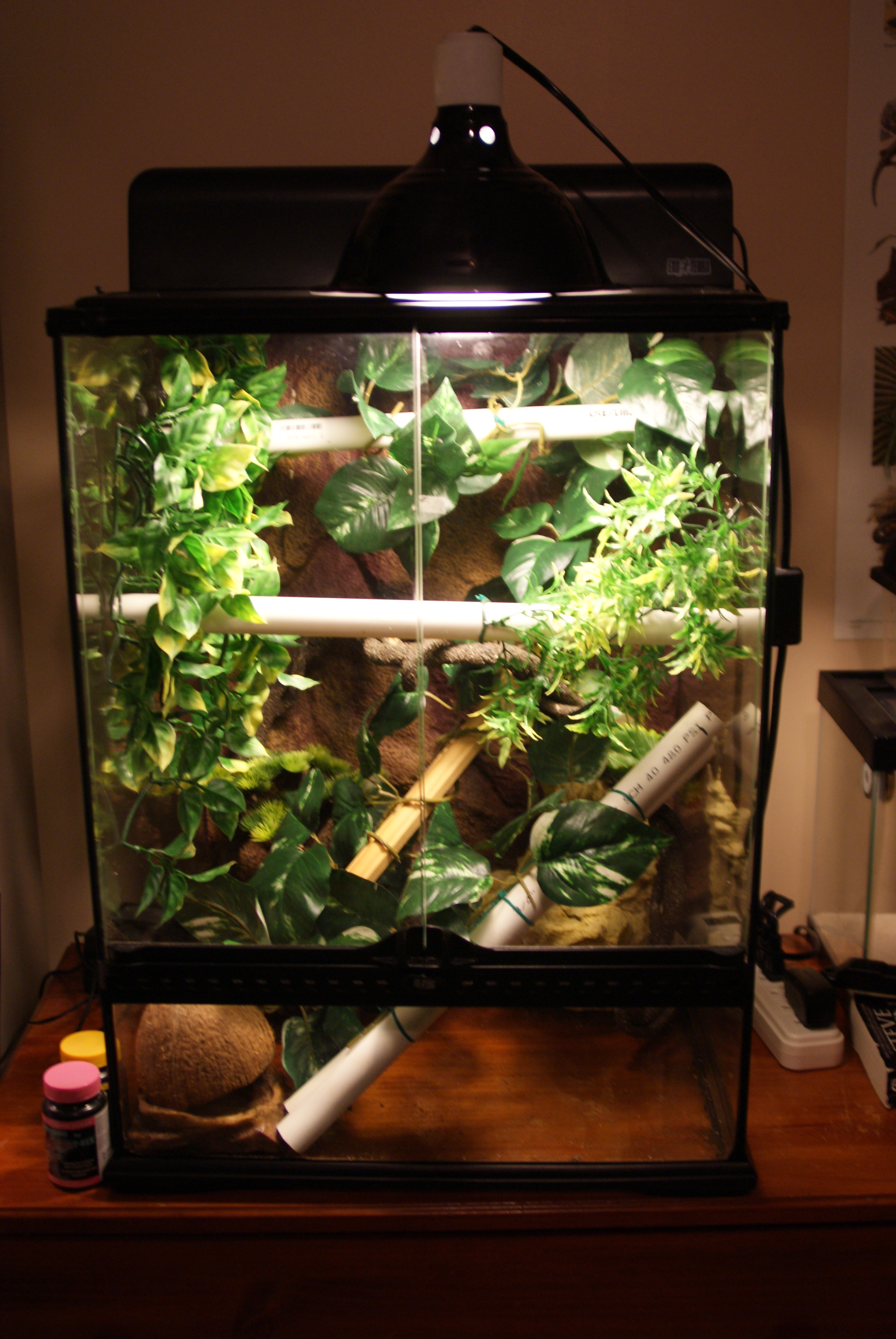 Maybe Terrarium