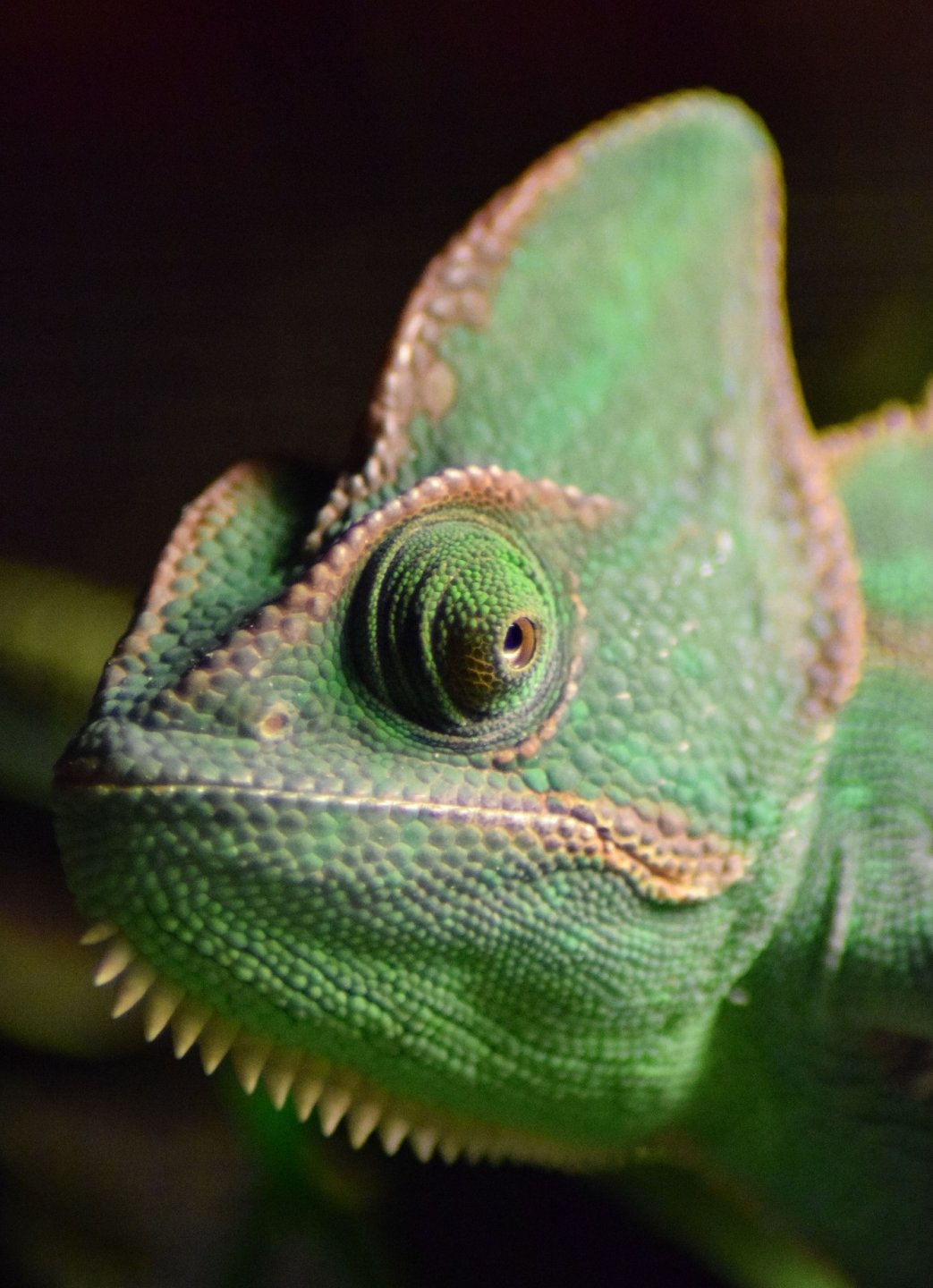 Meagan is Not Impressed