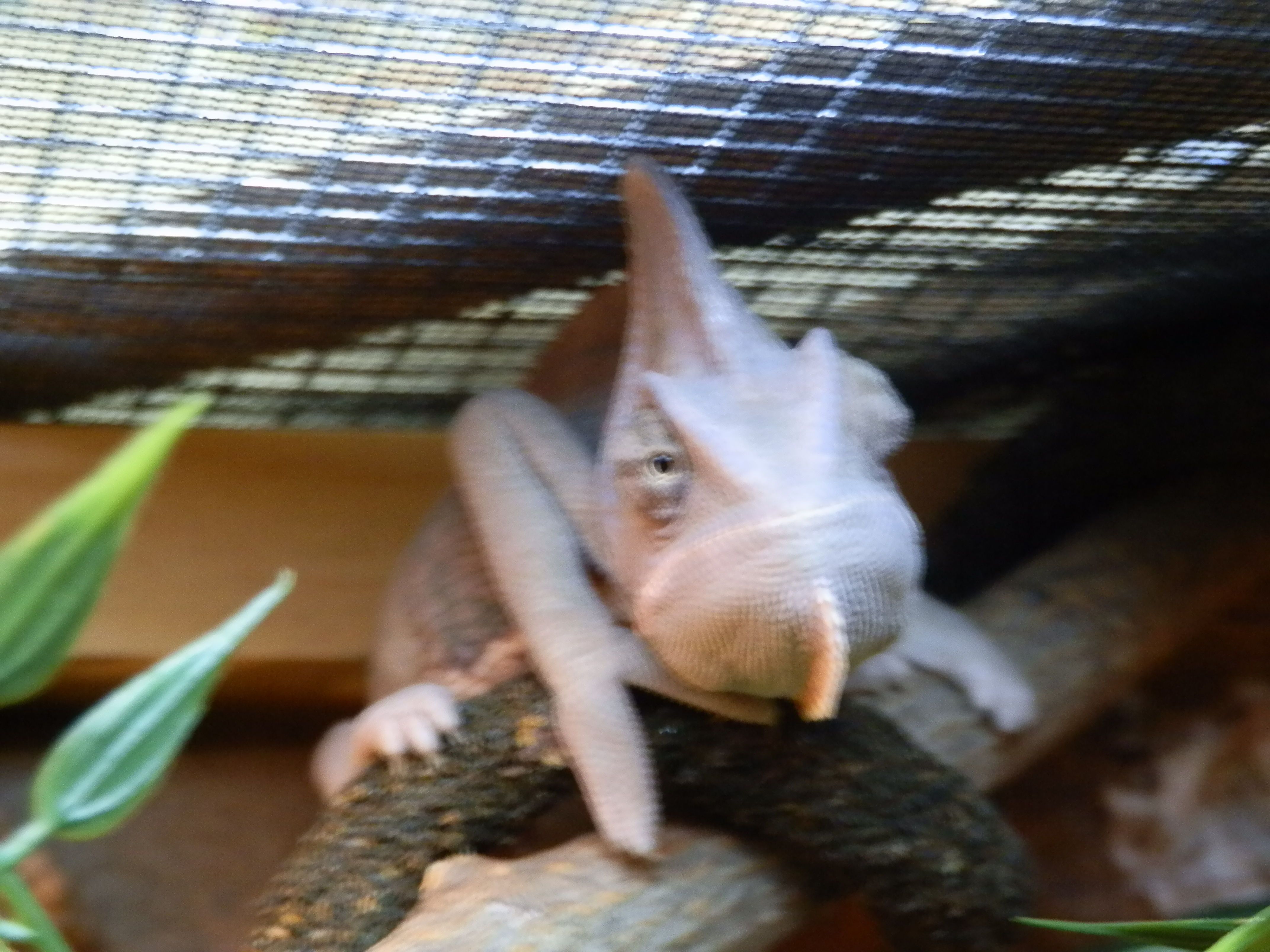 Mean Mugging