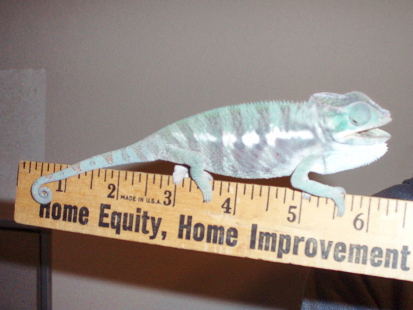 Measurement On 3-2-09
