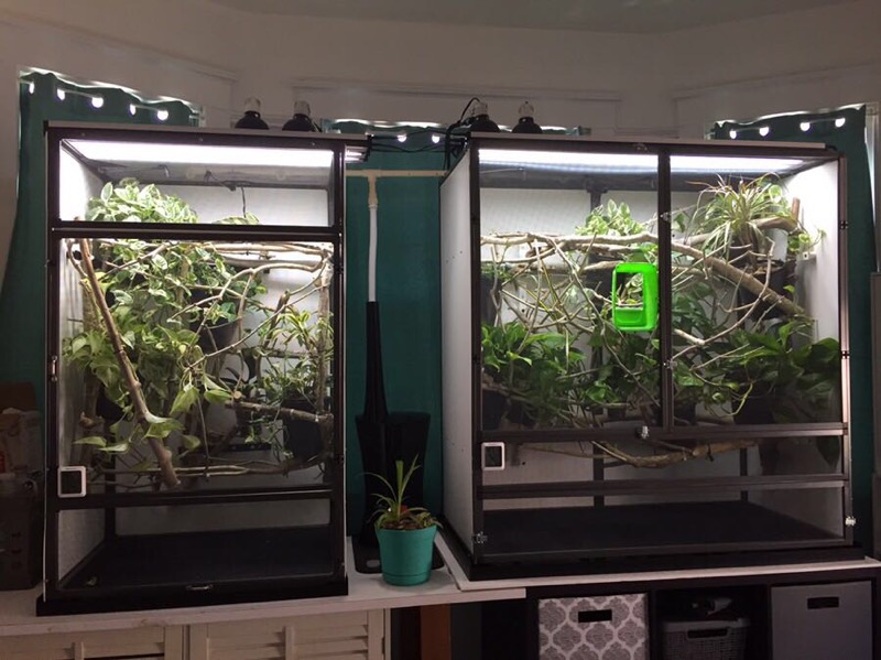 Medium Tall Atrium Left Large hybrid Atrium Right