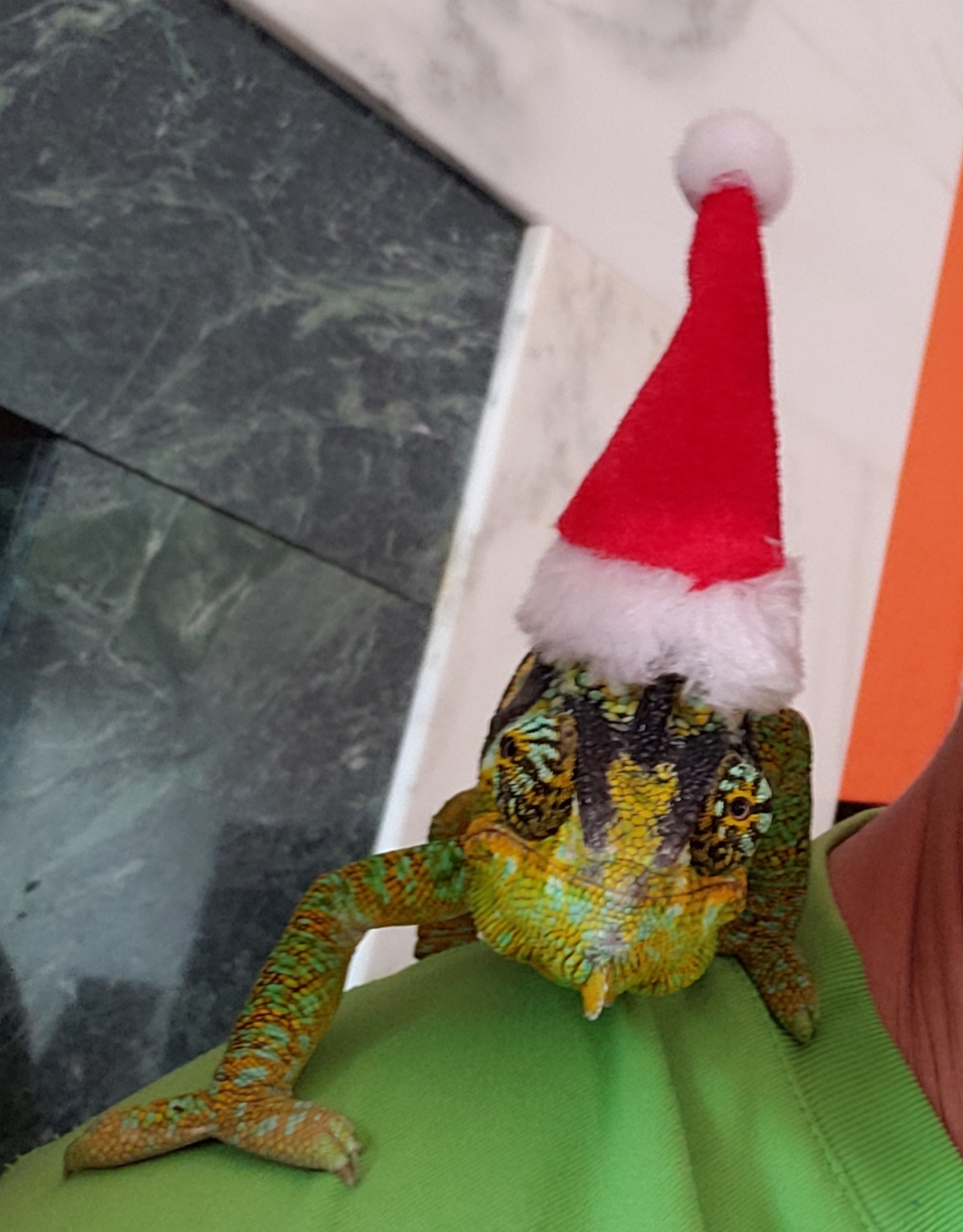 Merry Christmas 2018!