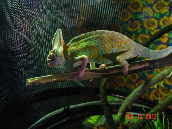 Mm, Crickets.