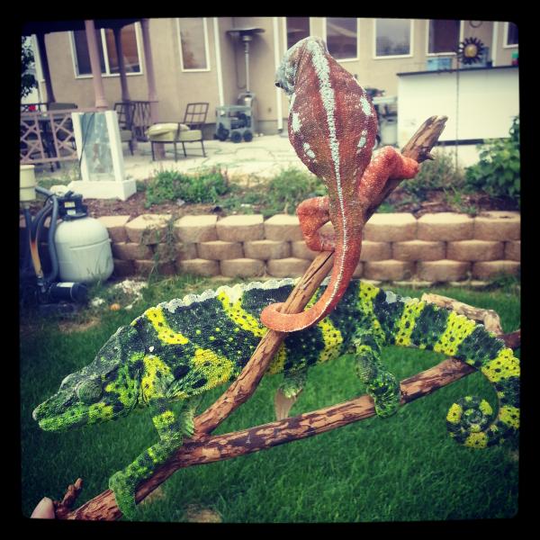 Mobi and Kager wanted outside