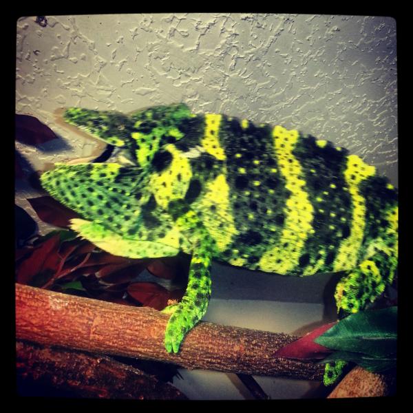 Mobi didn't like me to much when I first got him