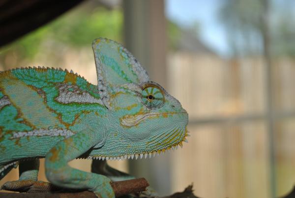 Mobt hates the camera