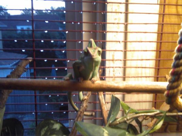 mommy i want out & i want food