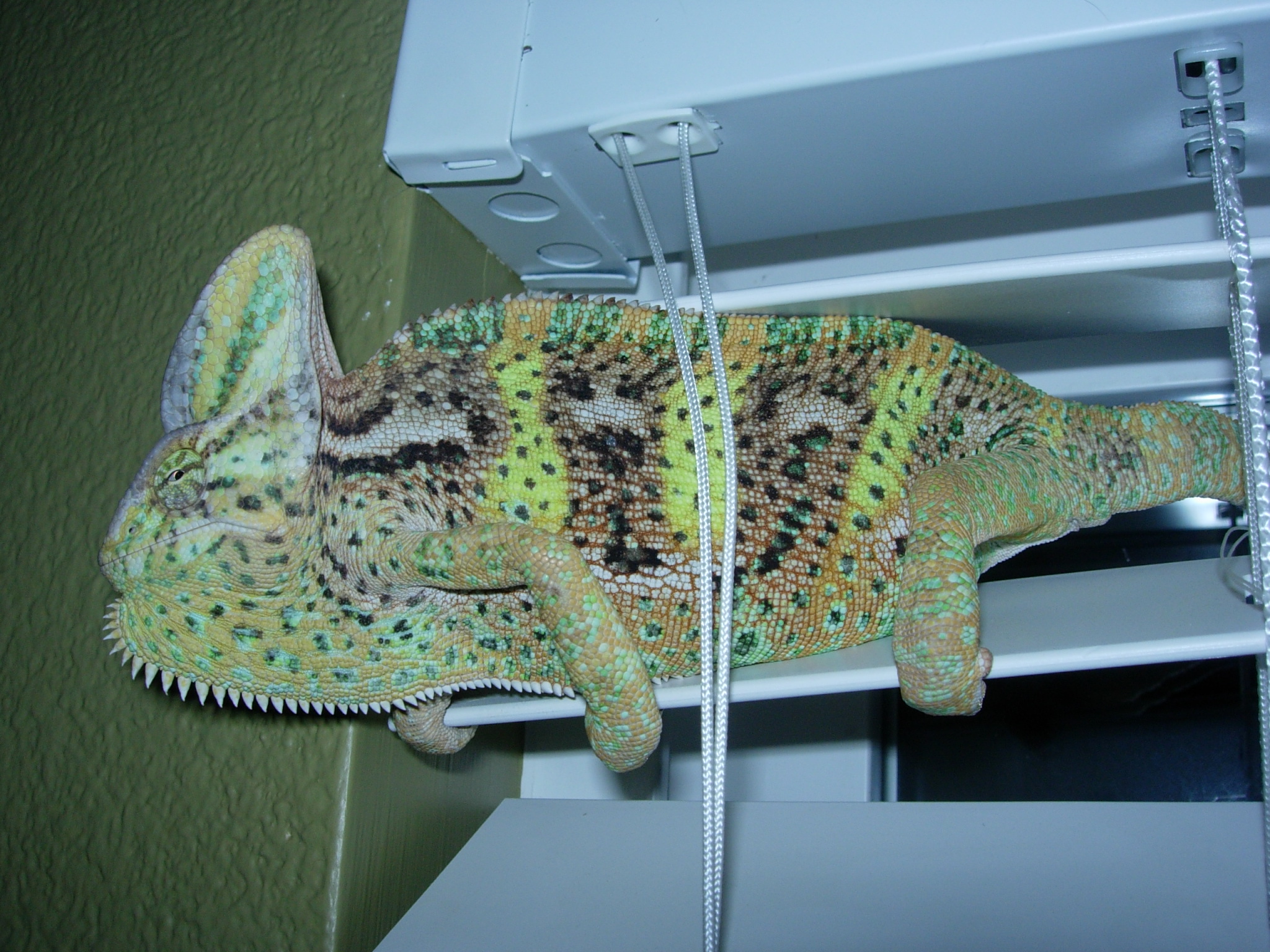 Mozart + Window = Eternal Bliss