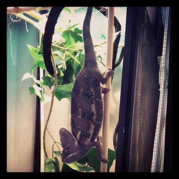 Mr Mr- hanging out!