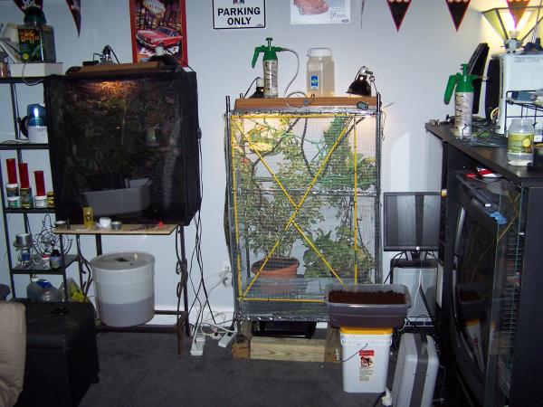 My 2 enclosures.
