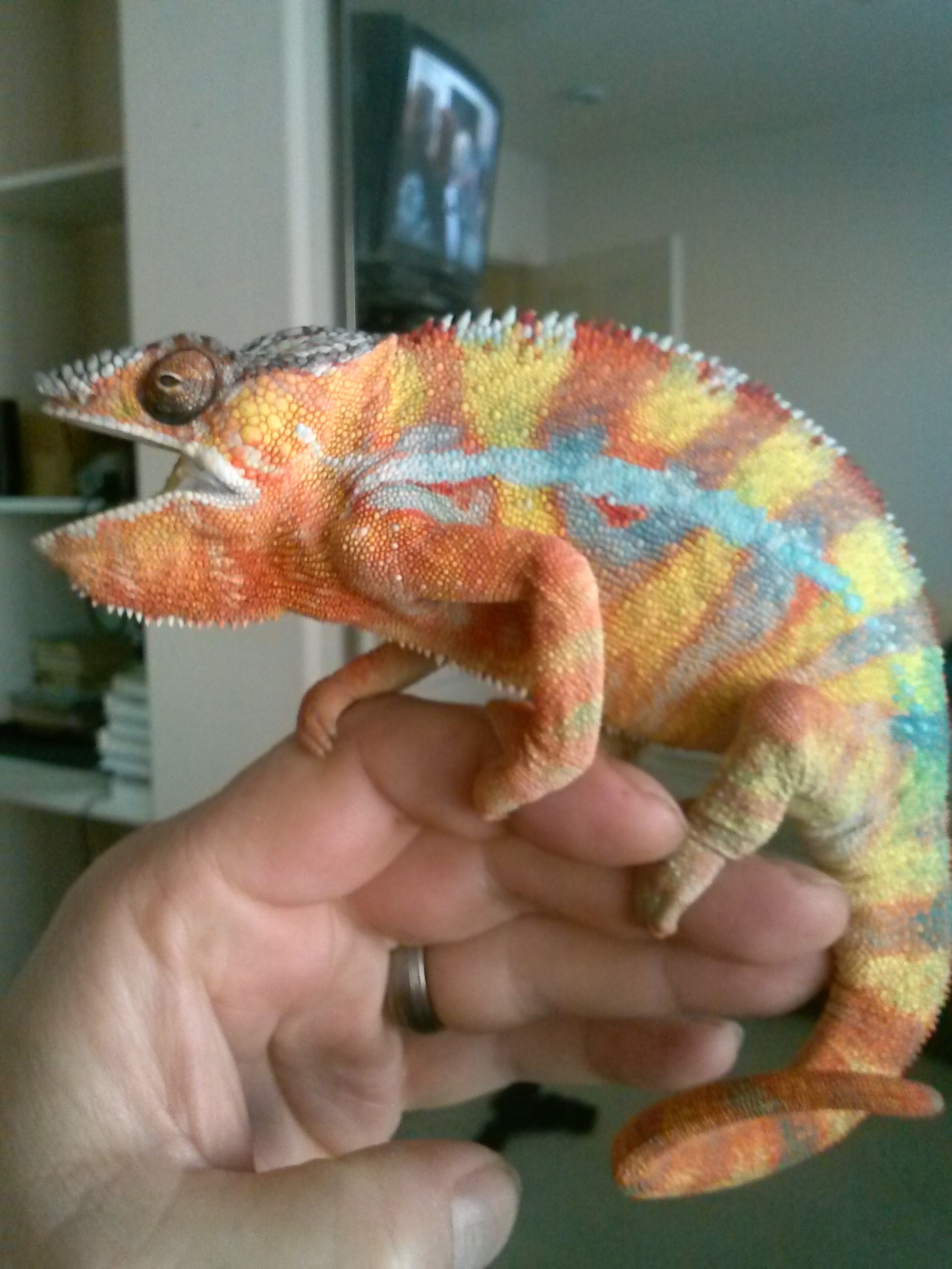 My B O Y Passed A W A Y