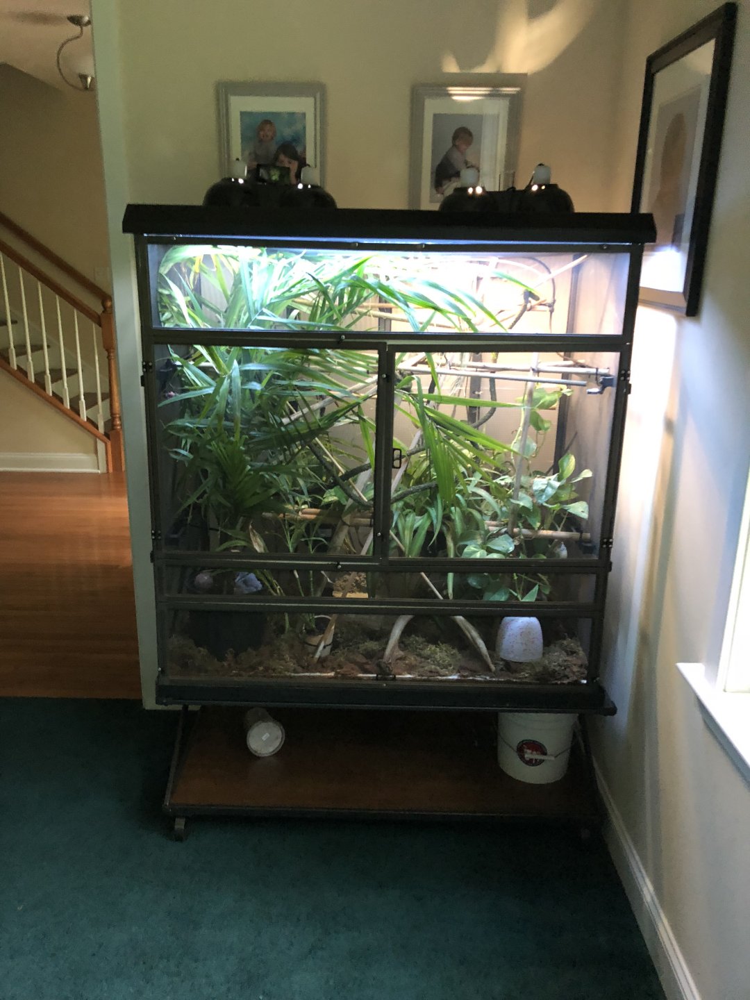 My big awesome new house