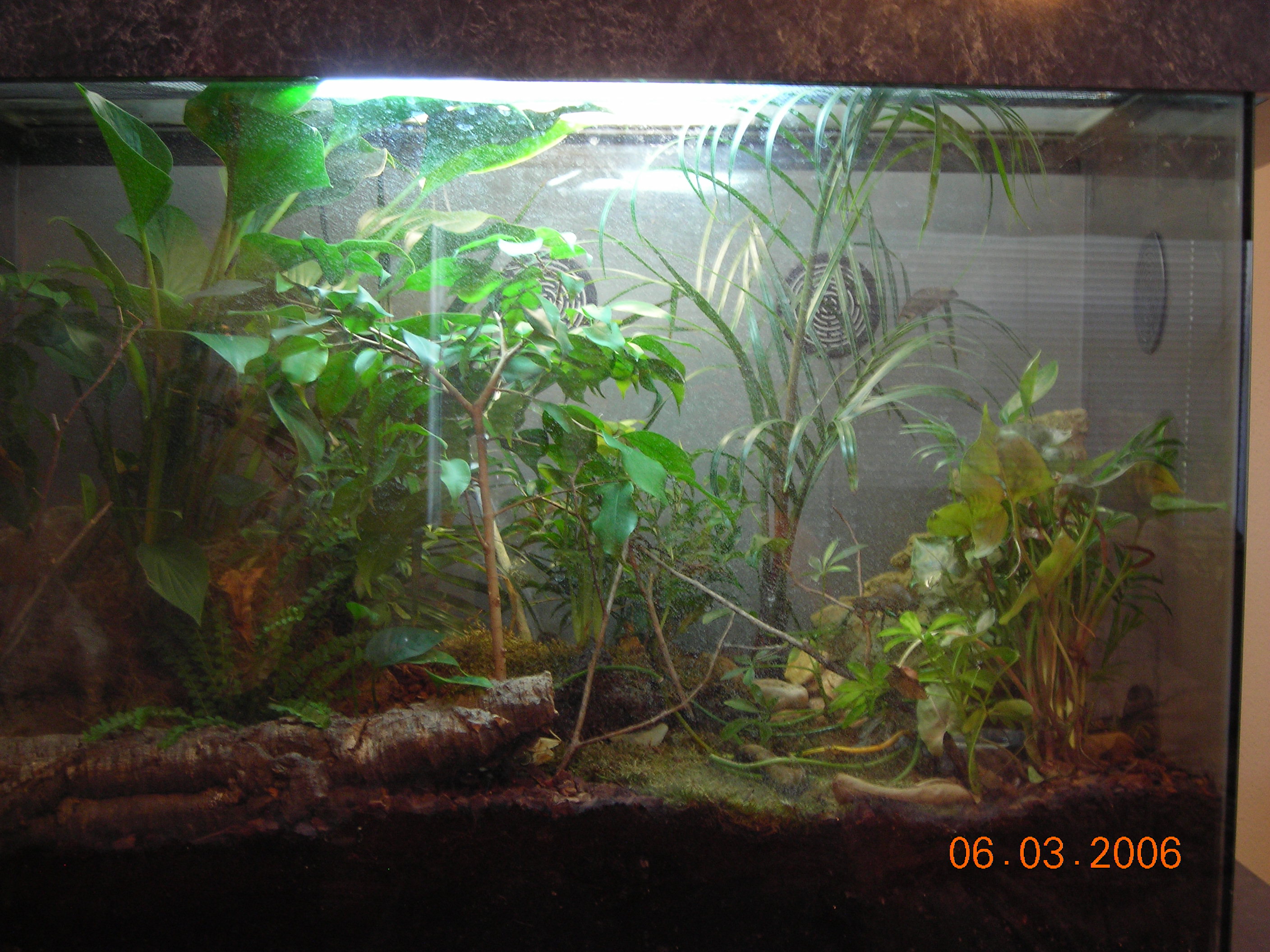 My brev enclosure