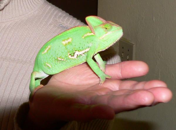 My bro holding her