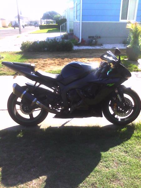 my chameleon loving yamaha r1