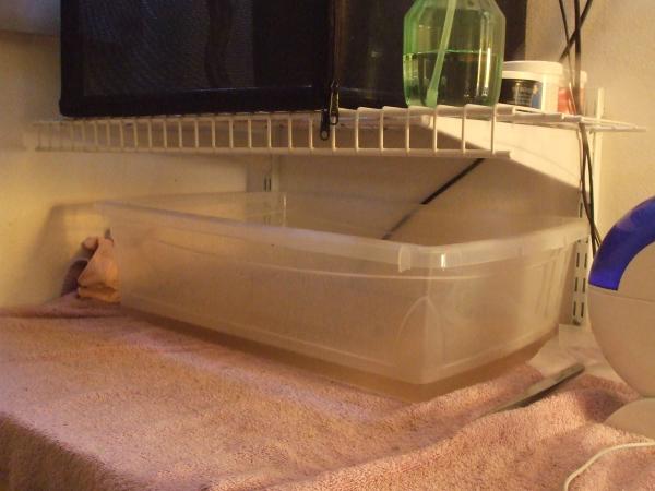 my clean up status, from all the water dripping into the omni box