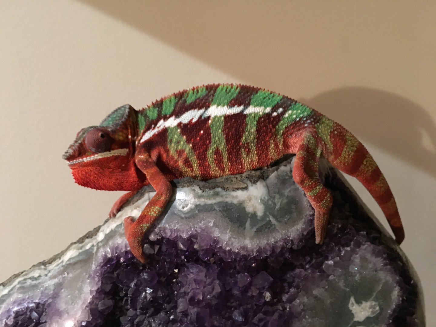 My favorite chillin rock