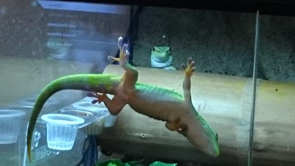 My female playing peekaboo