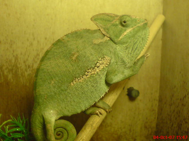 My little girl Yelina