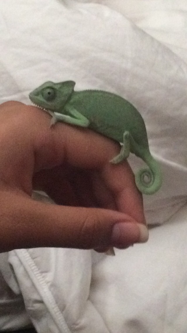 My little girl