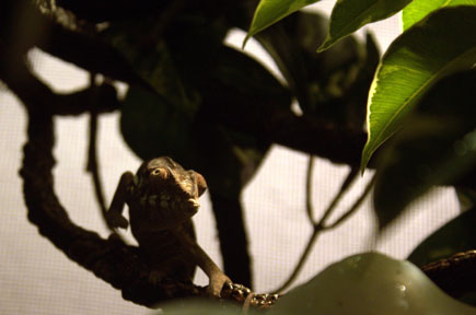 My mysterious girl lurking in the shadows.