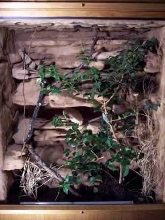 MY NEW JACKSON HABITAT