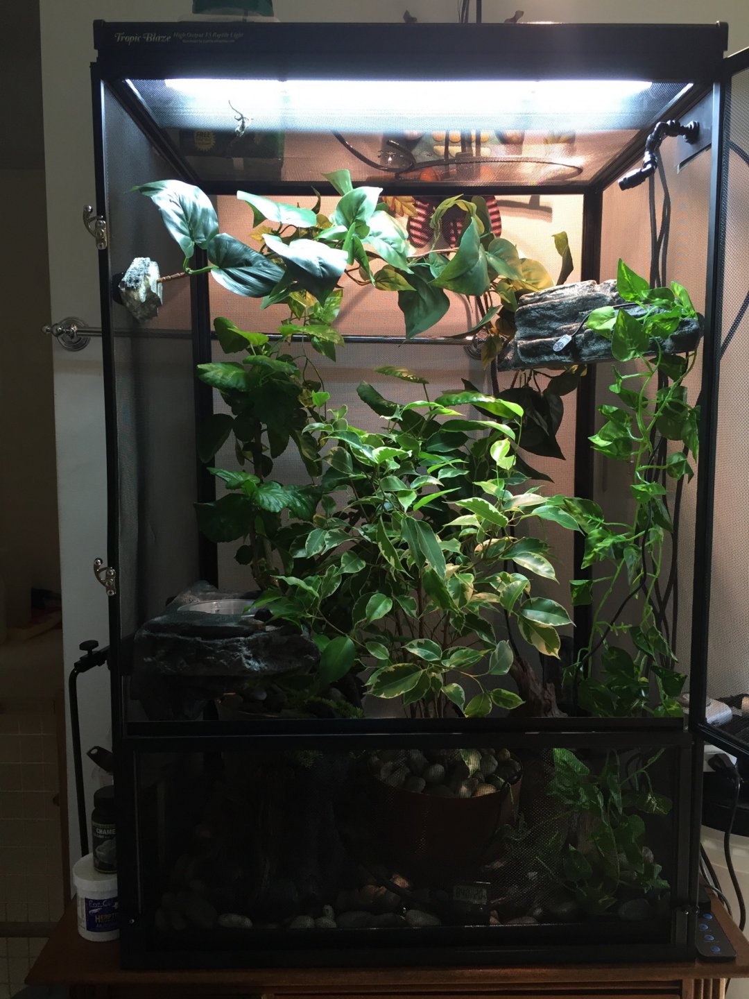 My new lights