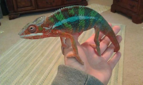 my newest :)