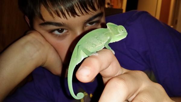 My oldest son holding his cham, Camo.