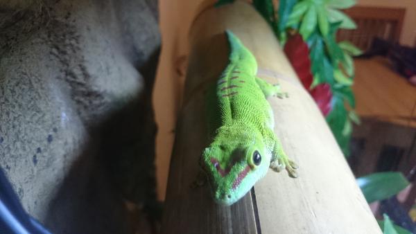 my sexy girl