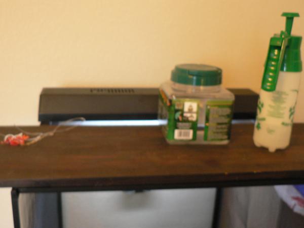 My water systems