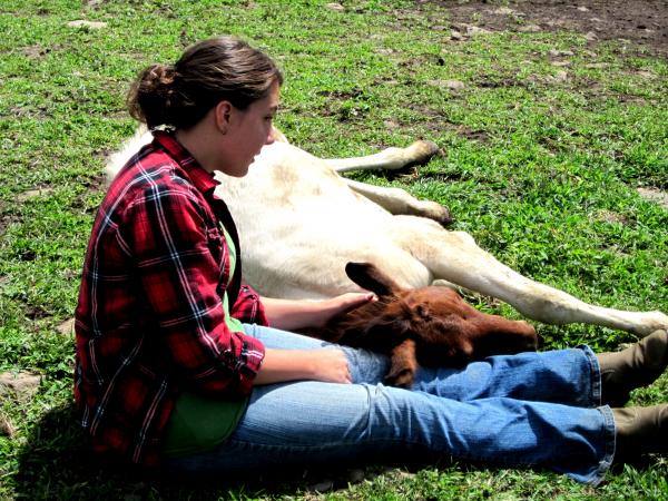 nap time with jigsaw :)