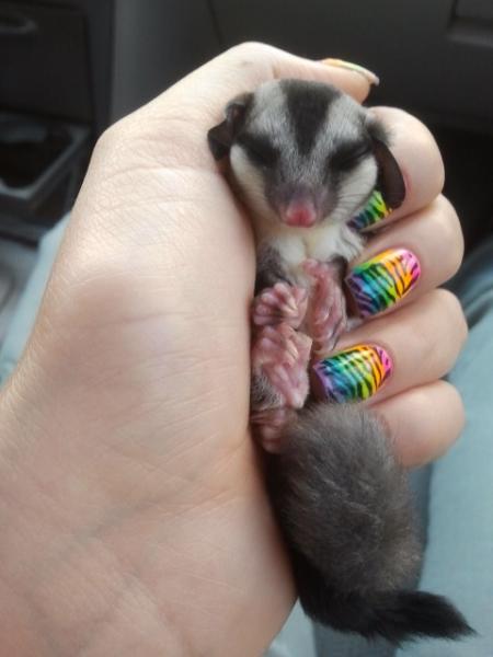 Napping in my hand on the way home. 08-17-2012