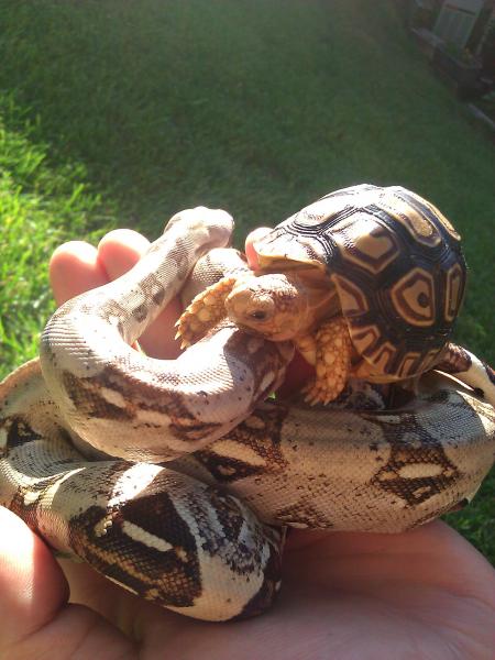 Natalie chilling with Sheldon