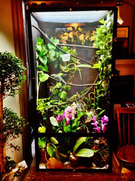 New Arcadia lights from Light Your Reptile