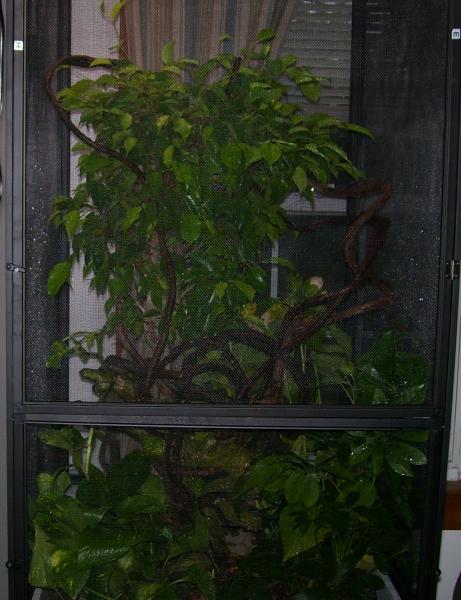 new cage