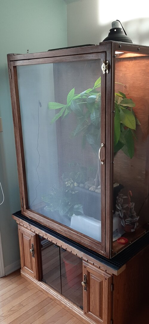 New Enclosure I Built