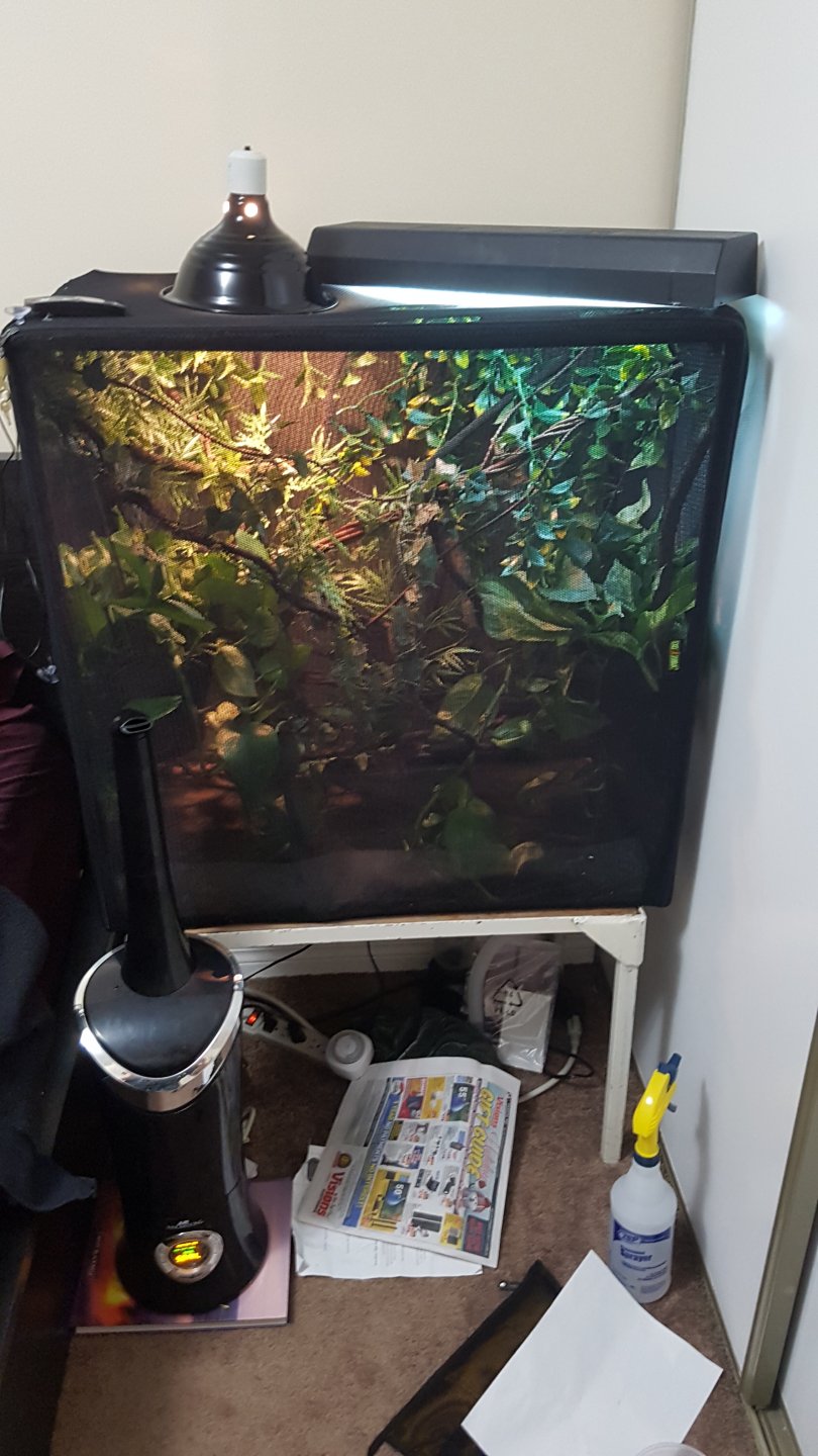 New Enclosure v4.0