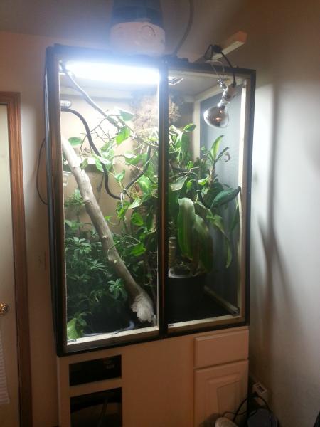 new enclosure