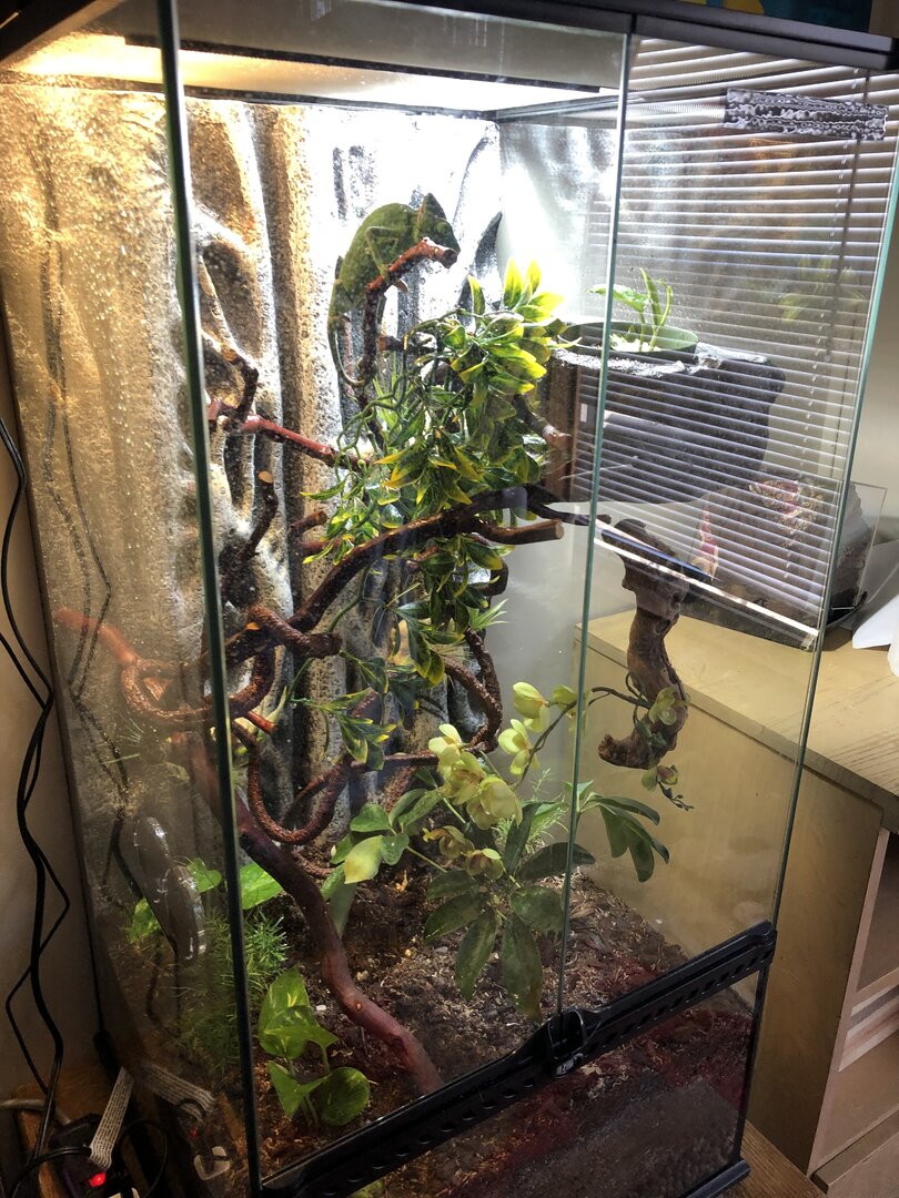 New Habitat