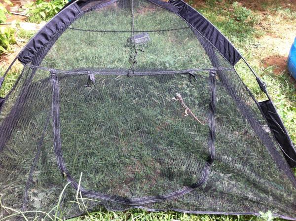 New outside enclosure - still needs plants.