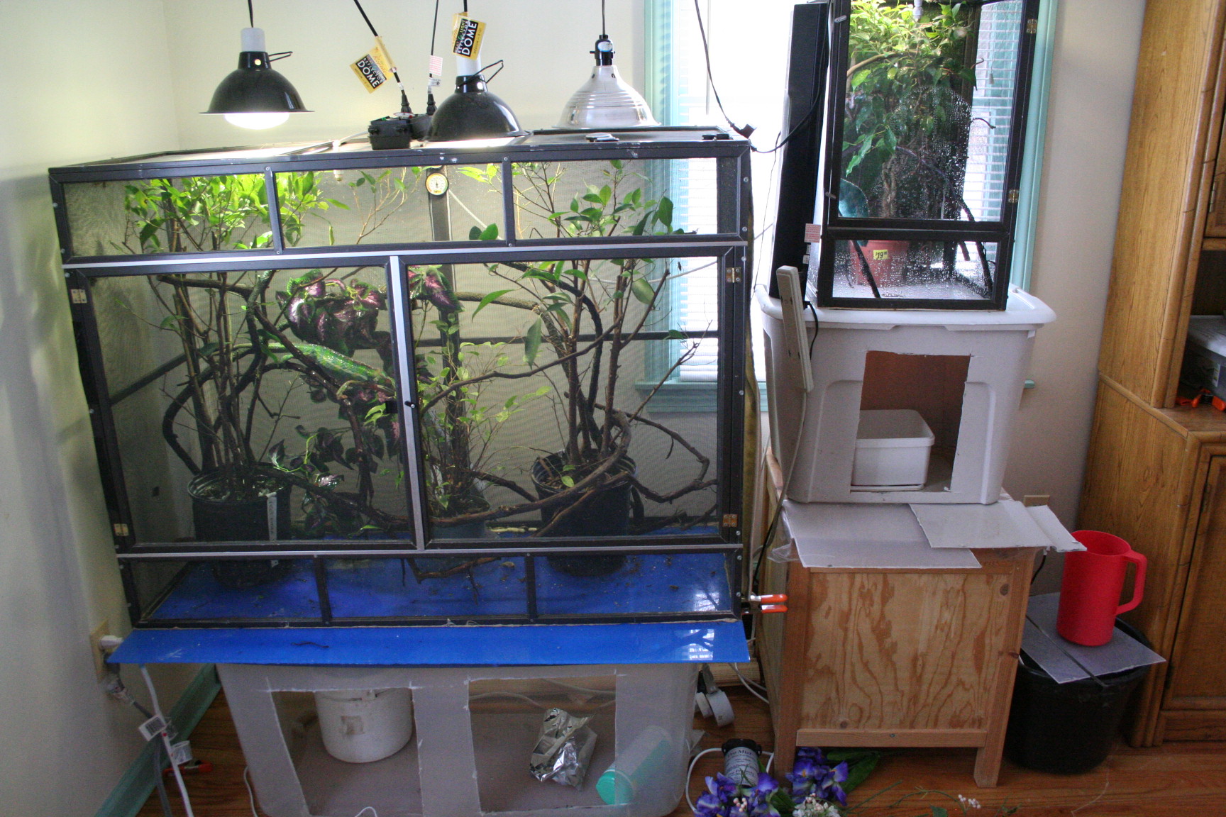 New set up with ProMist and drainage